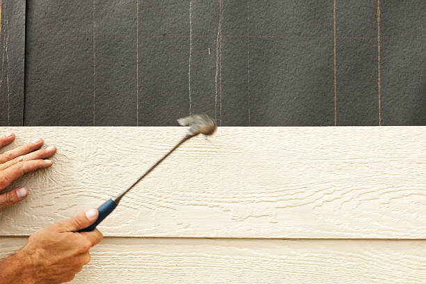 Best Historical Building Siding Restoration  in Locust, NC